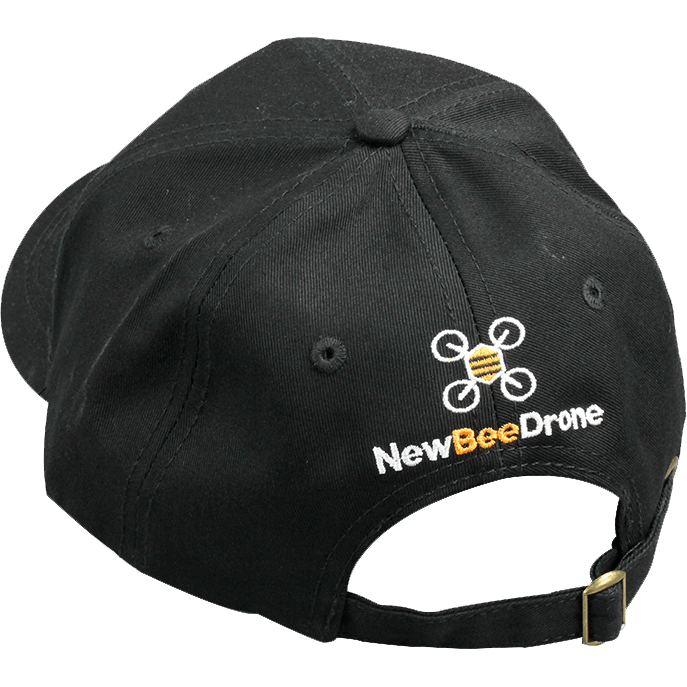 NewBeeDrone Swags NewBeeDrone 'Dad' Hat